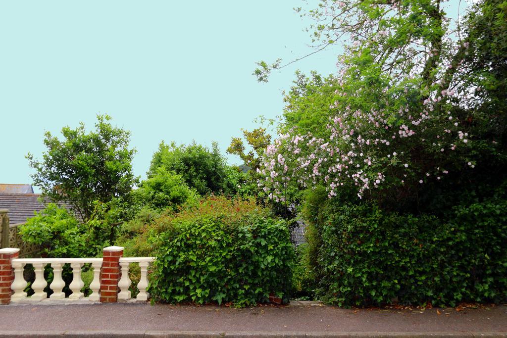 Lammas Park House Bed and Breakfast Dawlish Exteriör bild